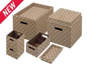 Rubbermaid Bento Boxes